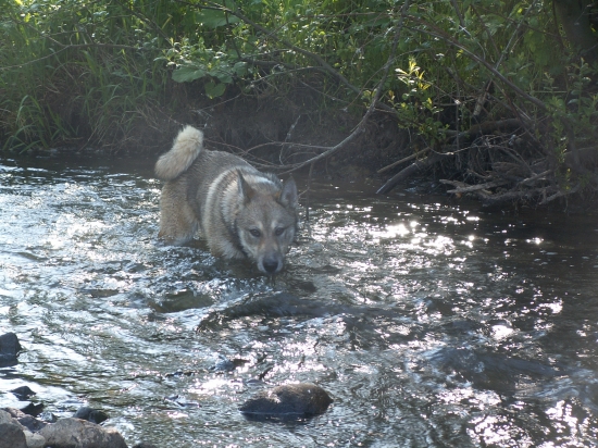 Takto lovím ryby :o)))