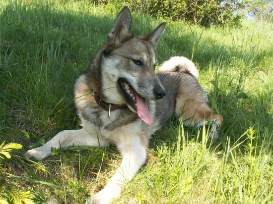 Aspoň trochu tieň...