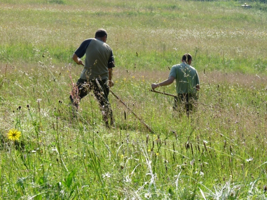 Kosenie, už len aby prišiel pekný čas