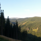 Pod Kráľovou hoľou