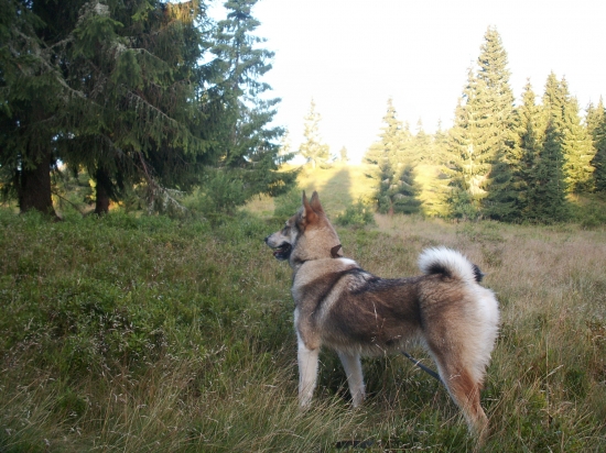 Čosi zbadala... žeby vysoká...?