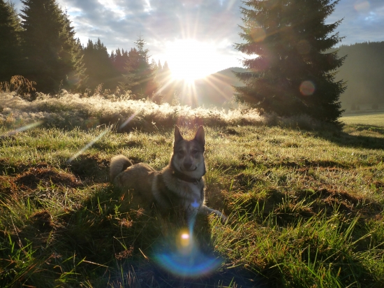 Na hubách - Závratné