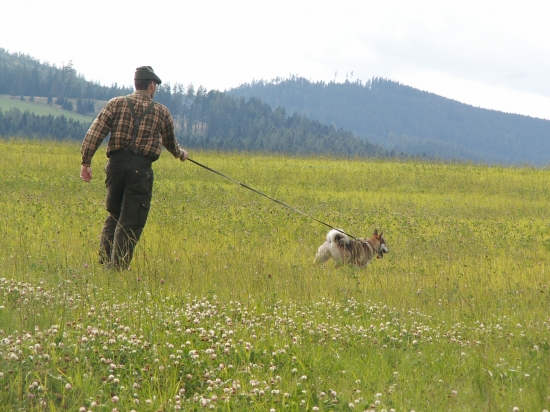 V plnom nasadení...