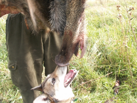 Vystihnuté,.... kým zahryzla :o)))