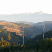 Pohľad v našom revíri