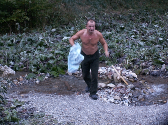 Ľadový medveď - Fatranský