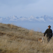Poľovanie na holiach...