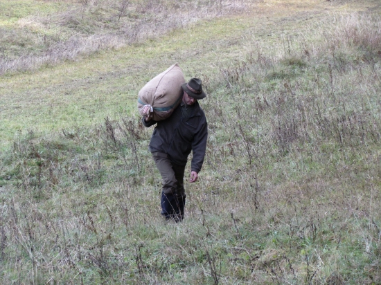 Krmivo do zásobníka...