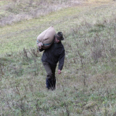 Krmivo do zásobníka...