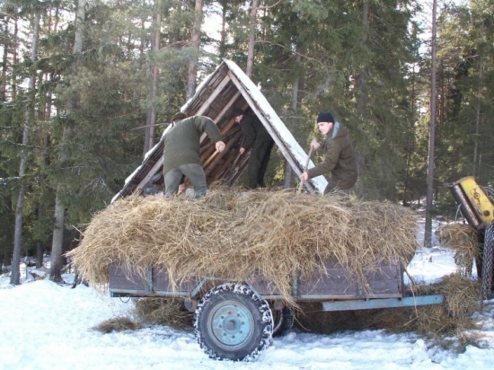 Nielen chodiť na parohy...