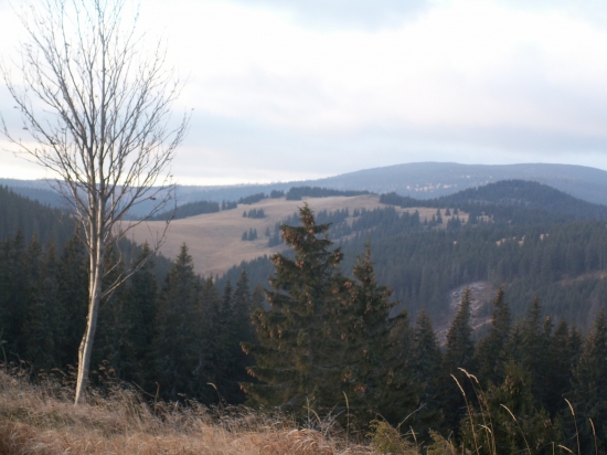Roškové, pohľad smer Hoľa - jama