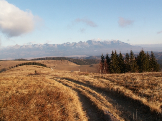 Pohľad zo Smrečín