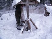Prikrmovanie