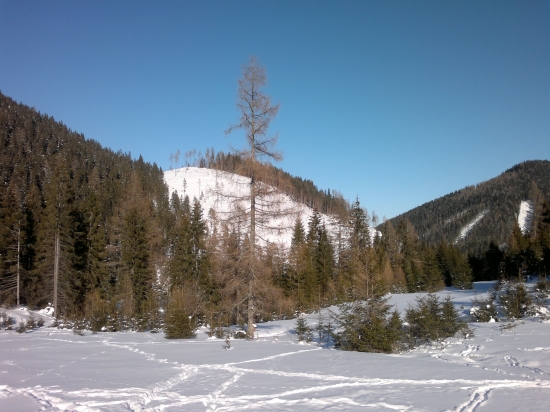 Zimná idylka pri prikrmovaní