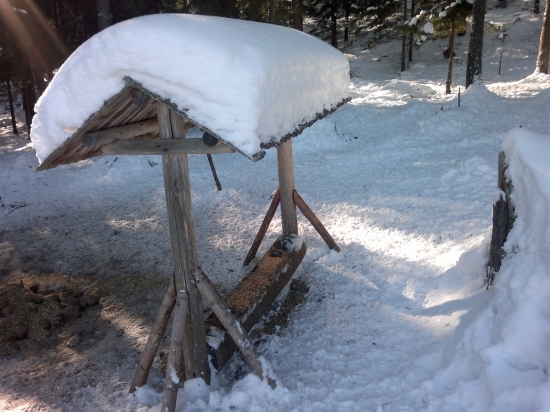 Prestreté... môže sa začať hostina