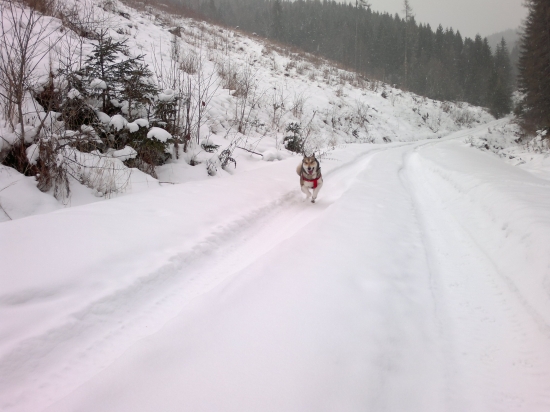 Vraciame sa...k nohe!