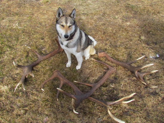 Zdokumentovať a ide sa...