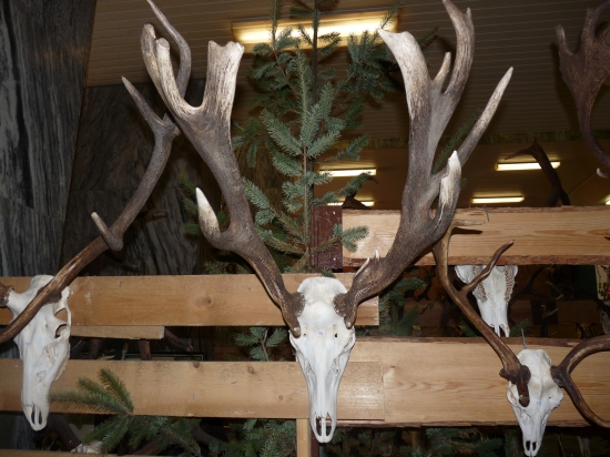 Krížený s danielom :o)))