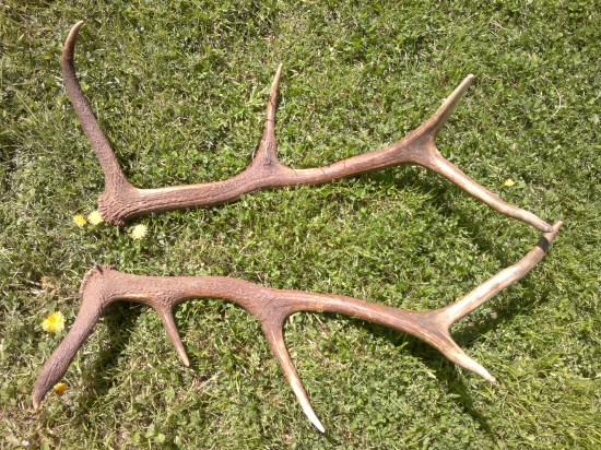 Už sú opäť spolu