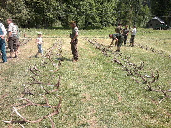 Výstava zhodov na Čiernom Váhu