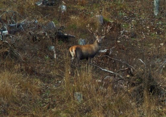 Nádejný mladík...
