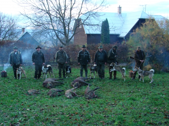 Lajky opäť úspešné...