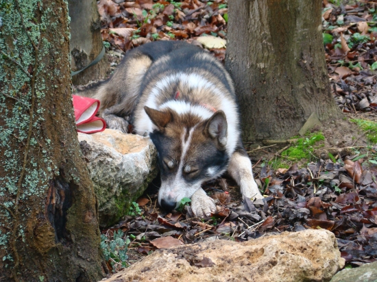 Unavený po durení...
