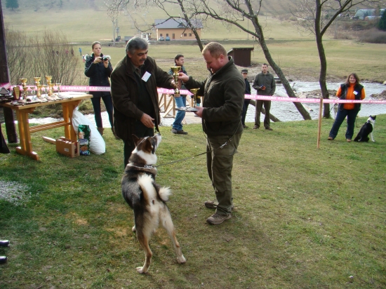Klubová výstava a víťaz plemena