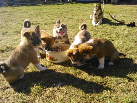 Za chvíľu k novým majiteľom...