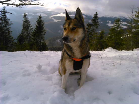 Dnešná prechádzka