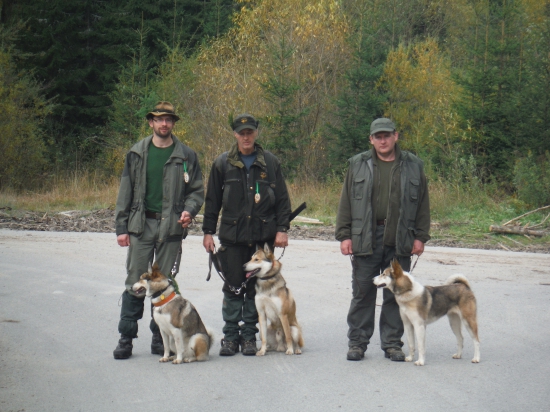 Lajky opäť bodovali