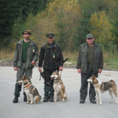 Lajky opäť bodovali