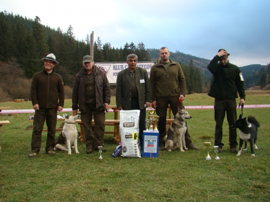 Víťazi klubovej výstavy