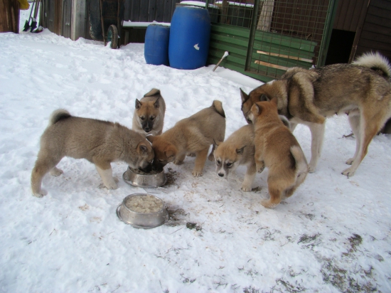 Posledný krát spolu