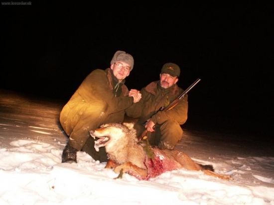 Úspešná postriežka