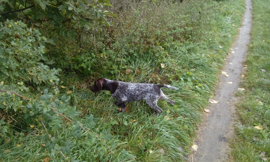 Už sa učíme. Aris 3,5 mes.