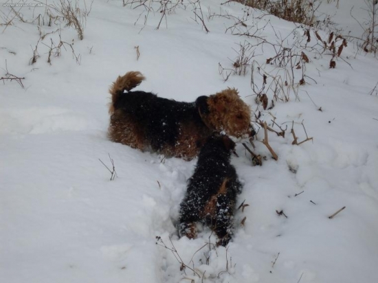 Ranná prechádzka 1