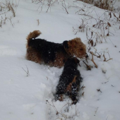 Ranná prechádzka 1