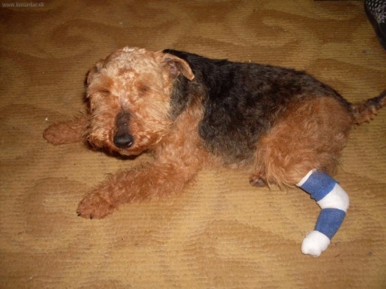 Za nepozornost sa plati