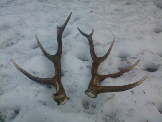 podvecerna prechadzka