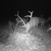 Kto sa stara ten ma  :)