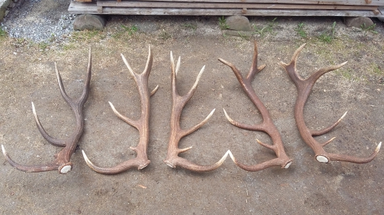 Trocha lepšie 2017 :)