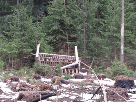 krmelec po ťažbe dreva