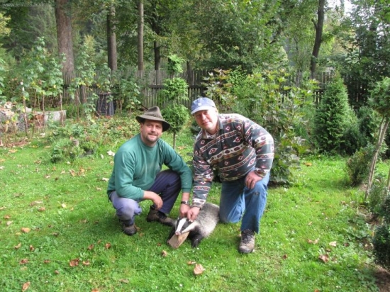 Lovci jazvecov úhyn