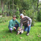 Lovci jazvecov úhyn