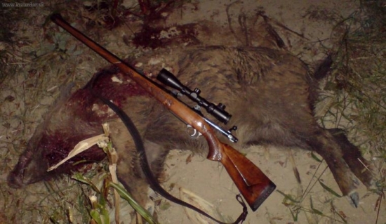 Ďalší z kukuričného lánu