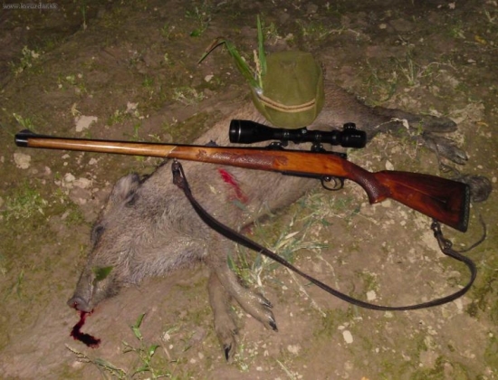 Diviača z kukuričného lánu