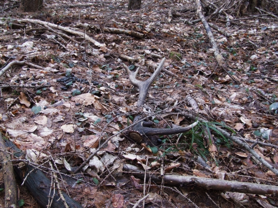 Po 2-rokoch mám pár