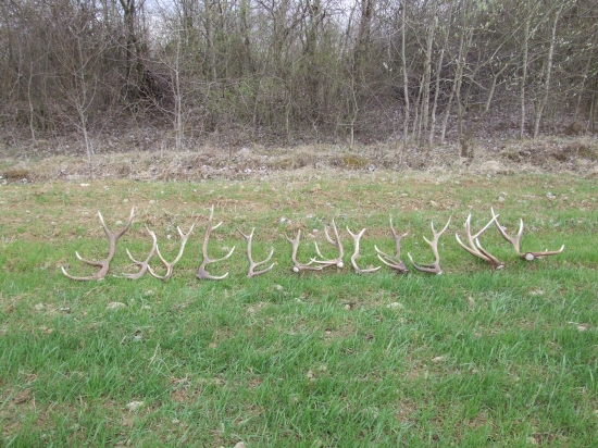 Nedeľňajší dozber