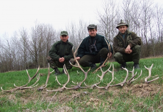 Nedeľňajší dozber 1